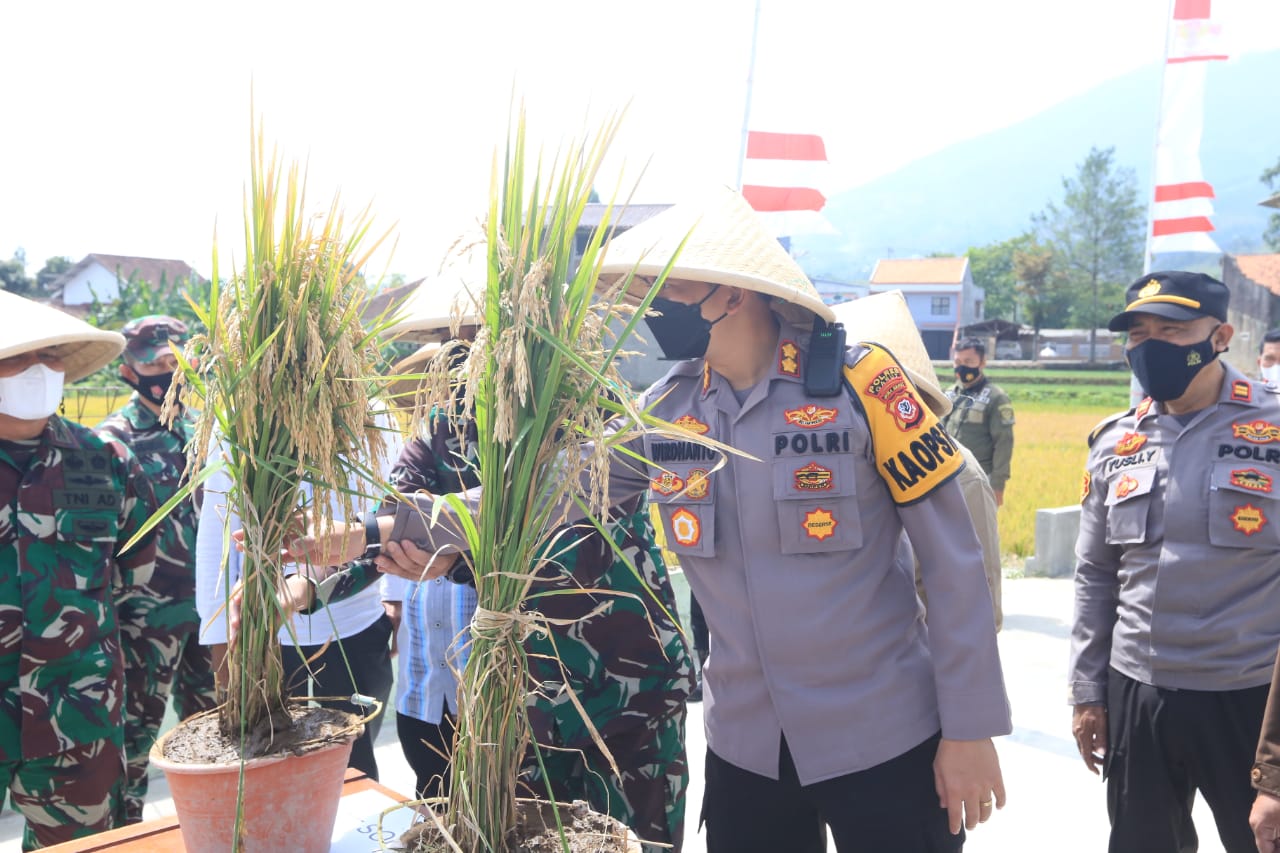 KAPOLRES GARUT HADIRI UNDANGAN DARI KODIM 0611/GARUT TERKAIT PEMBINAAN PANEN RAYA KOMODITAS PADI SARINAH